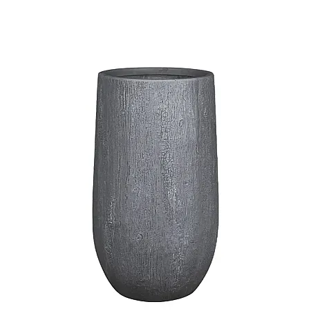 images/uploads/22630/thumb_23220-M 2025.webp